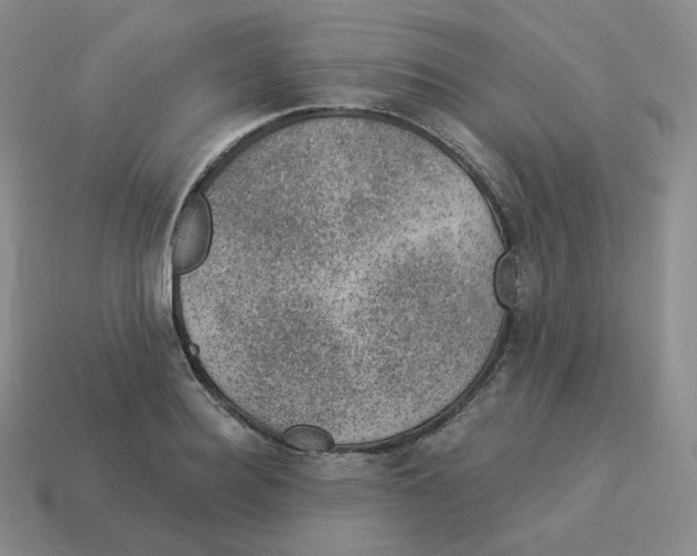 X0000114210940200911061442