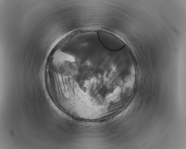 X0000114210941200911061442