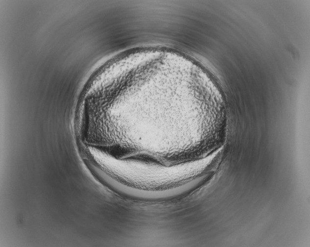 X0000114210943200911061442