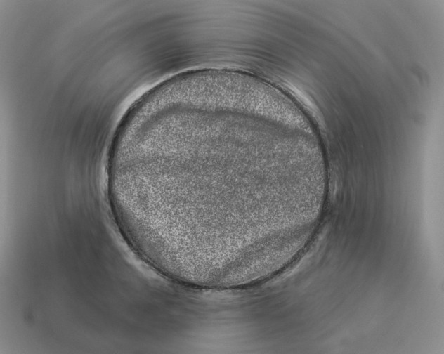 X0000114210944200911061442