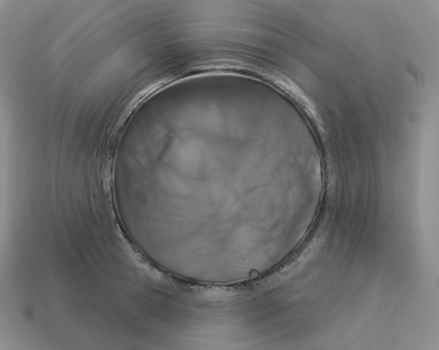 X0000114210945200911061442