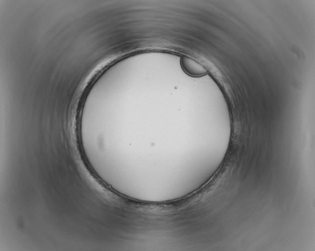 X0000114210947200911061442