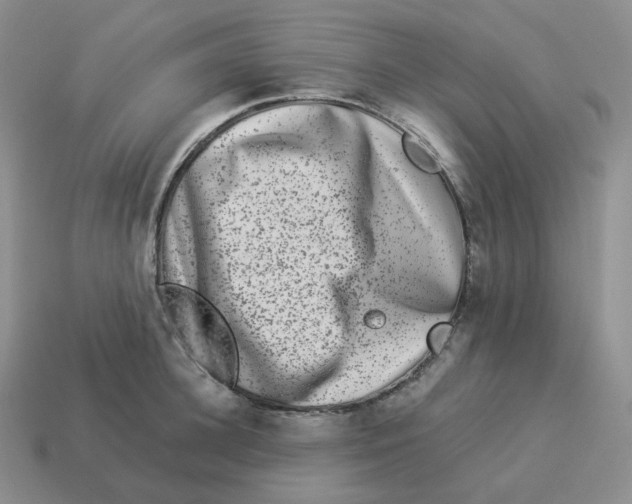 X0000114210948200911061442