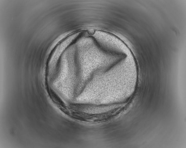 X0000114210949200911061442