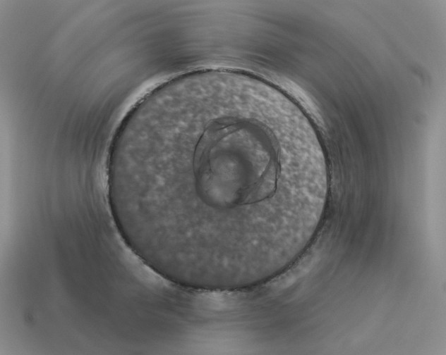 X0000114210950200911061442