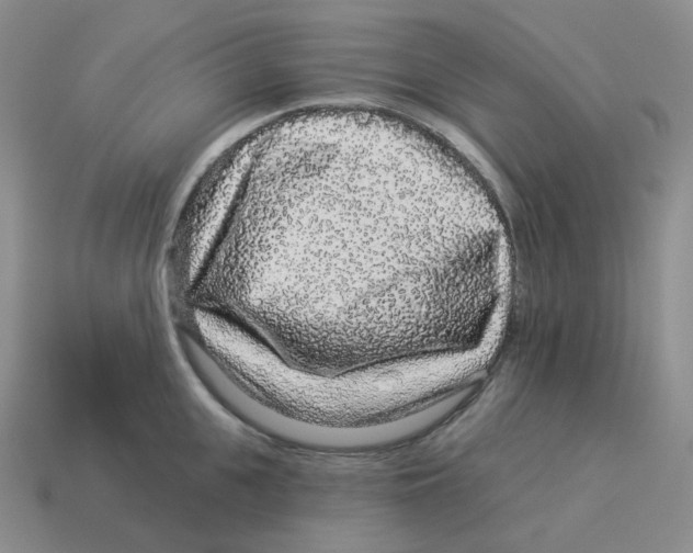 X0000114210951200911061442