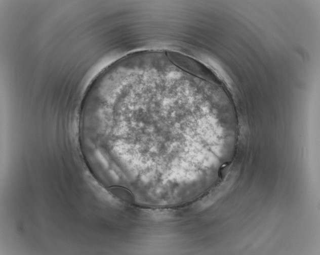 X0000114210952200911061442