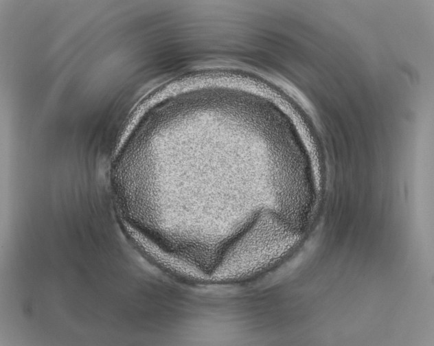 X0000114210953200911061442