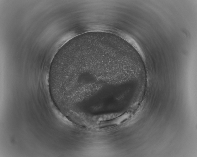 X0000114210954200911061442