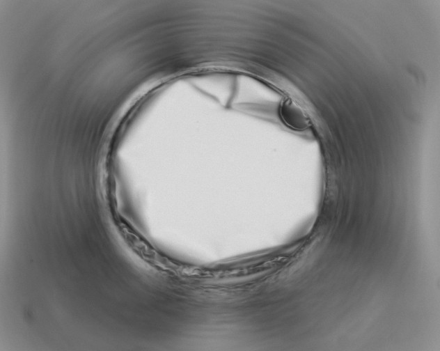 X0000114210955200911061442