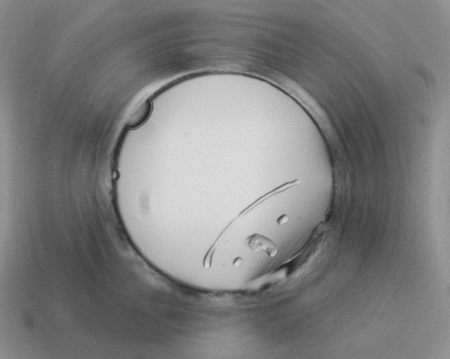 X0000114210956200911061442