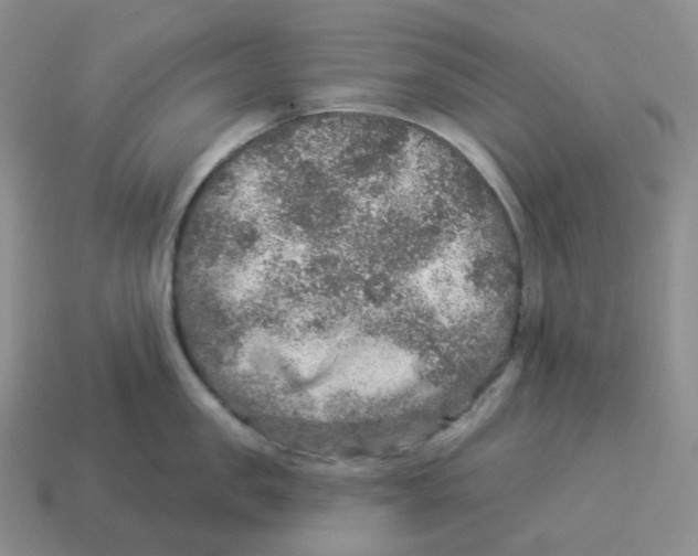 X0000114210957200911061442