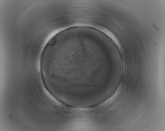 X0000114210958200911061442