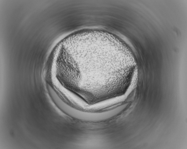 X0000114210959200911061442