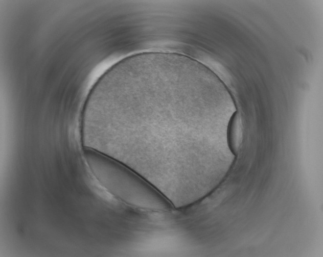 X0000114210960200911061442