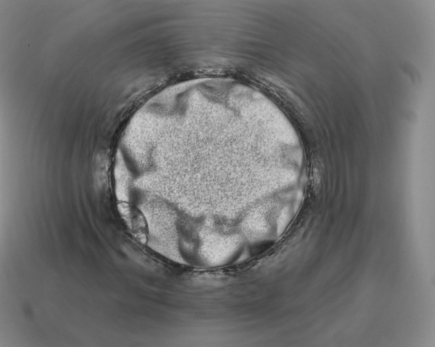 X0000114210964200911061442