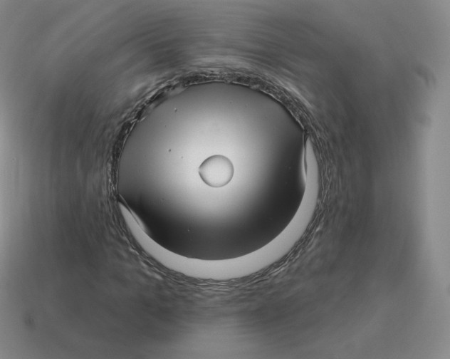 X0000114210965200911061442