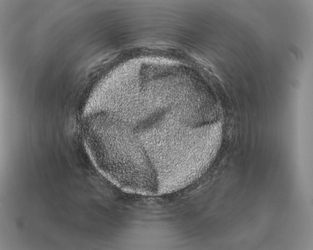 X0000114210966200911061442