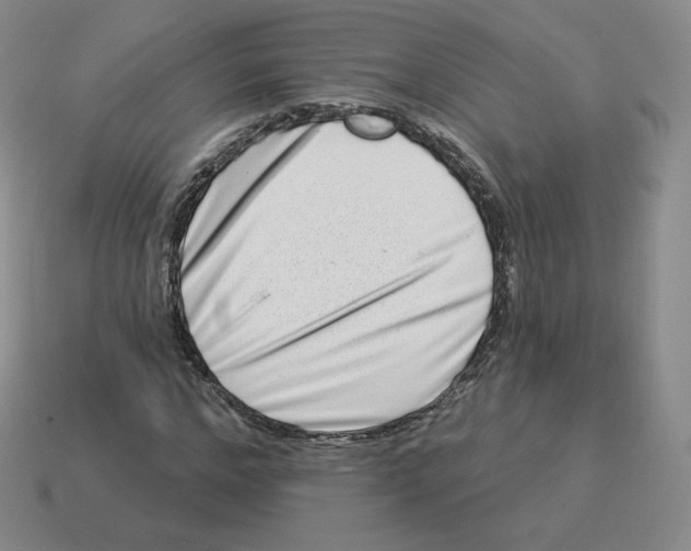 X0000114210968200911061442