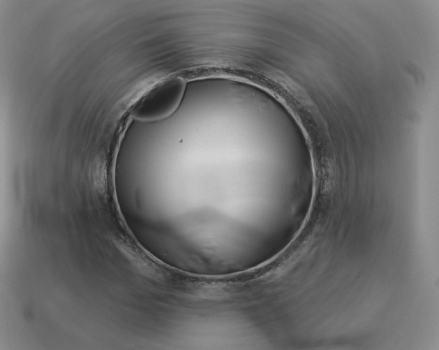 X0000114210969200911061442