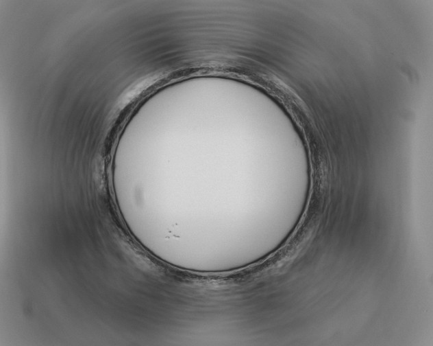 X0000114210970200911061442