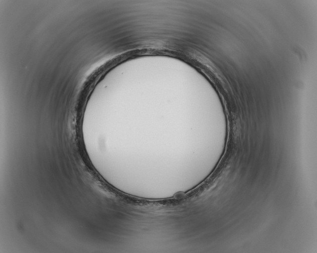 X0000114210971200911061442