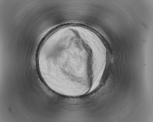 X0000114210972200911061442