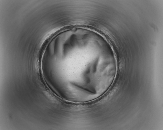 X0000114210973200911061442