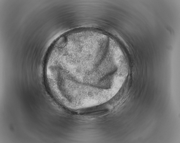 X0000114210975200911061441