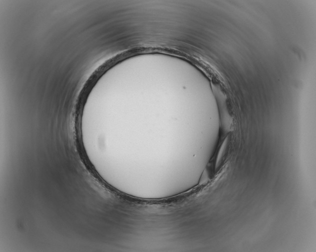 X0000114210976200911061441