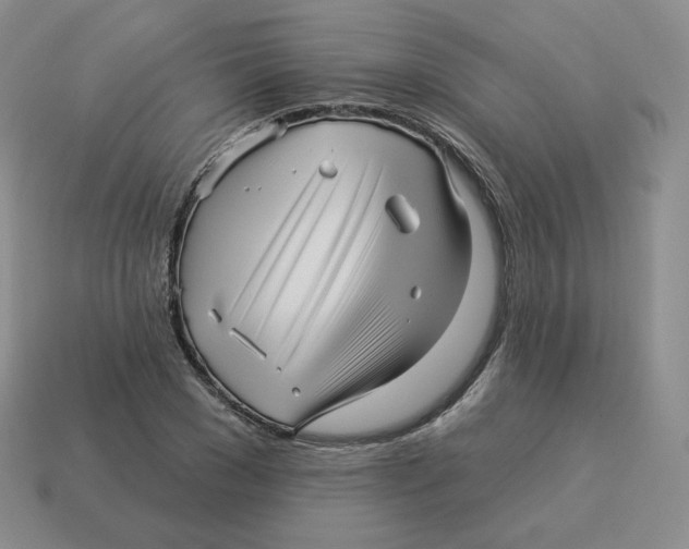 X0000114210977200911061441