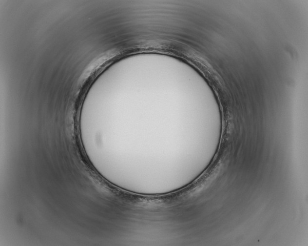 X0000114210978200911061441