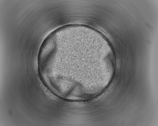 X0000114210980200911061441