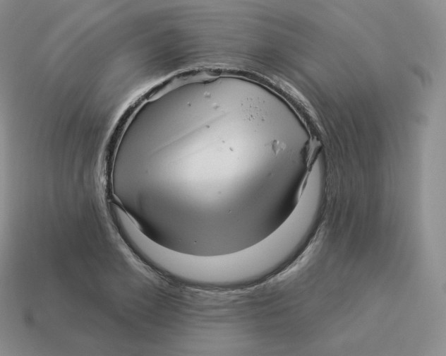 X0000114210981200911061441