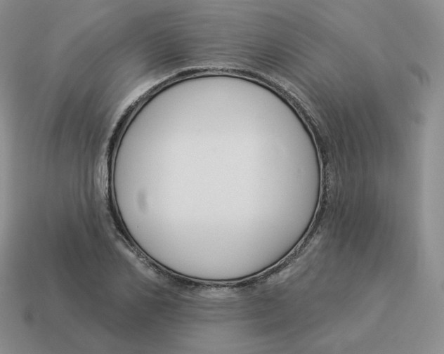 X0000114210982200911061441