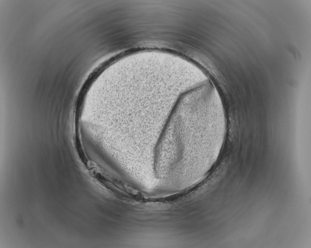 X0000114210984200911061441