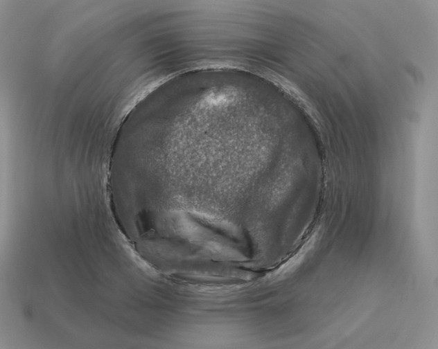 X0000114210985200911061441