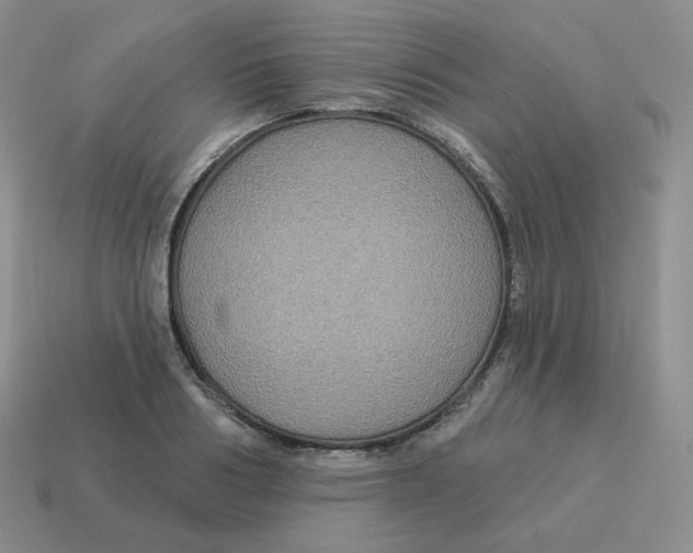 X0000114210986200911061441