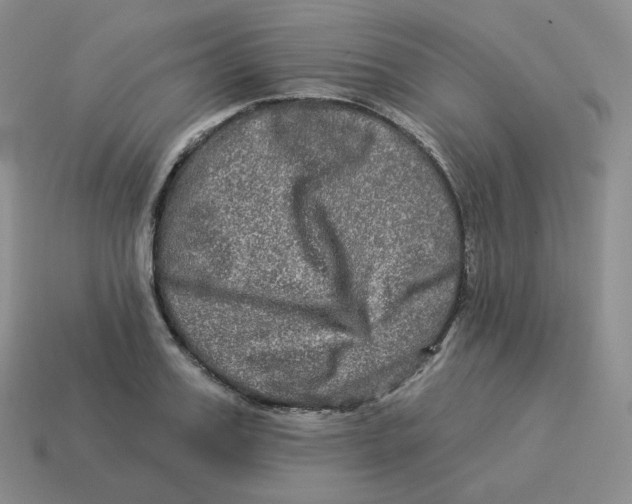 X0000114210987200911061441