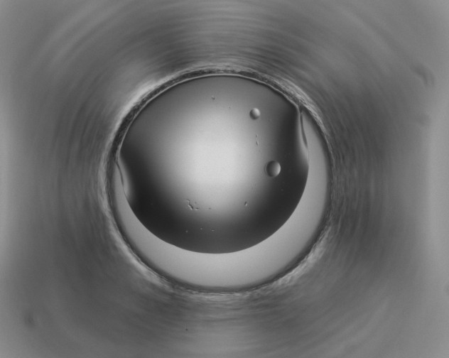 X0000114210989200911061441