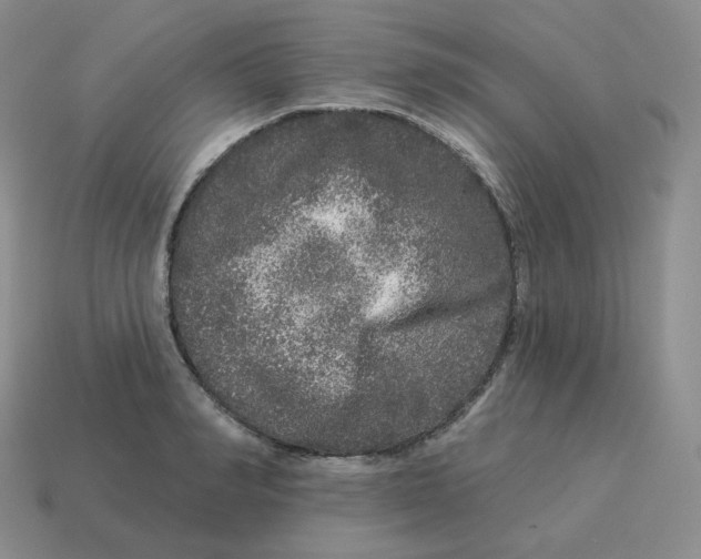 X0000114210990200911061441