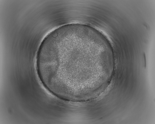 X0000114210991200911061441