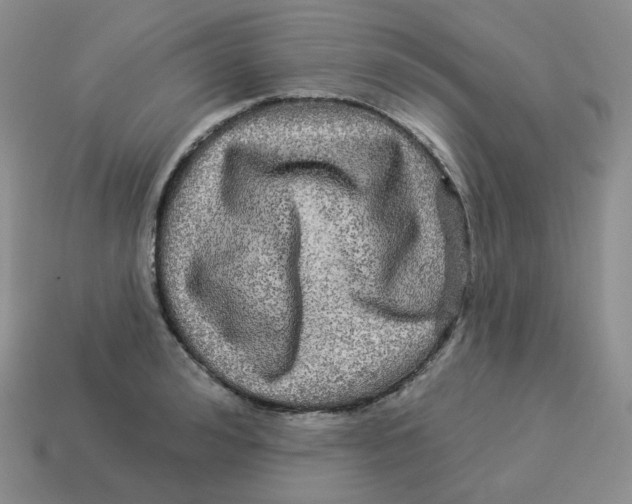 X0000114210992200911061441