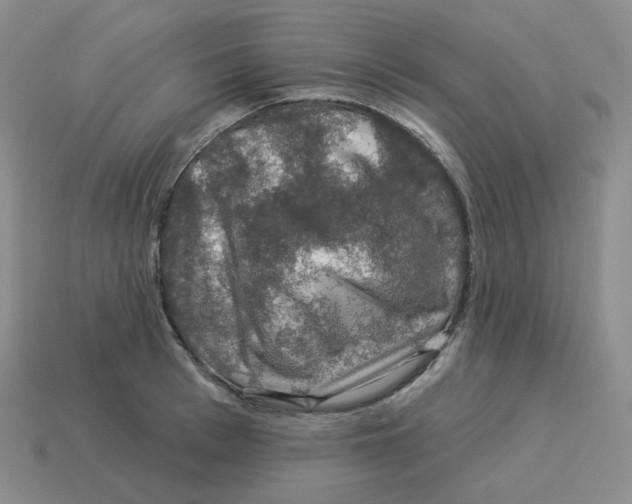 X0000114210993200911061441