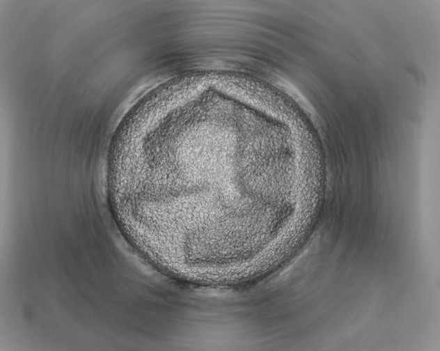 X0000114210994200911061441