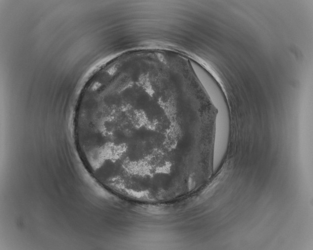 X0000114210995200911061441