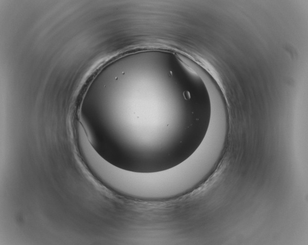 X0000114210997200911061441