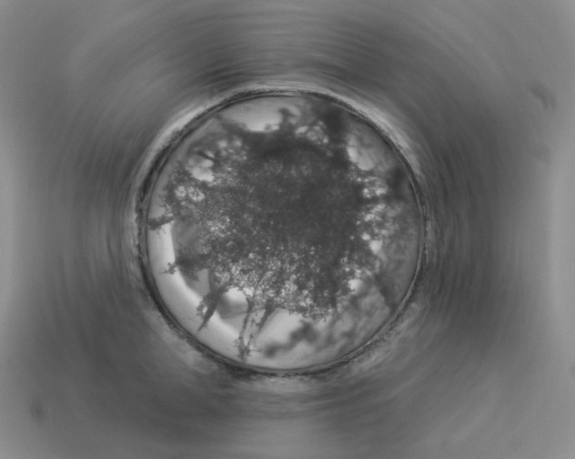 X0000114210998200911061441