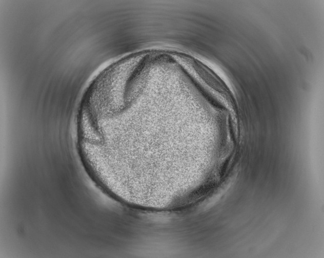 X0000114210999200911061441