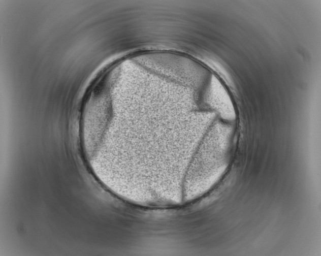 X0000114211000200911061441